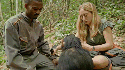 偷拍界大拿bbc又出手了,这次请来动物当摄影师