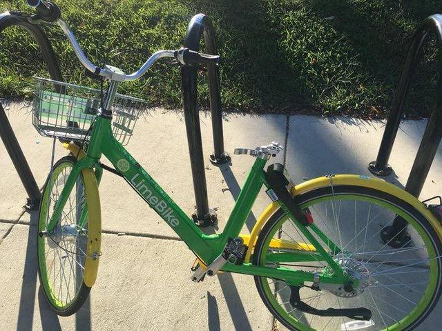 共享单车欧洲受挫:八成遭破坏被偷后走私,中国企业亏惨败走法国