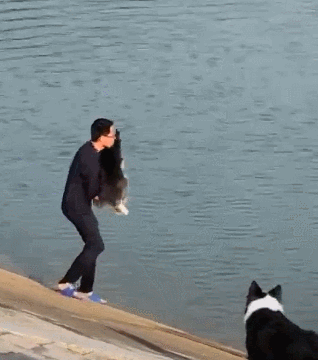 一只不会游泳的二哈,和他已经陷入疯狂的主人,为了让这个大一镅