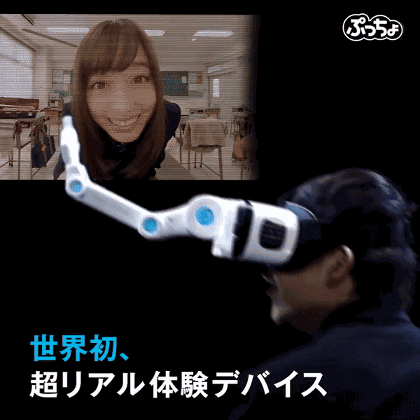 对于宅男心理 岛国科学家深有研究 投食过程中 女神可不只是乖乖喂糖