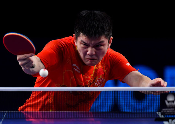 樊振东称王,刘诗雯逆转,国乒包揽卡塔尔公开赛
