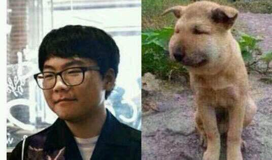 电竞选手与萌宠撞脸比拼 谁更神似?