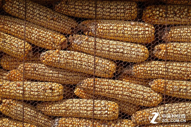 纪实摄影装备库 从胶卷相机到富士X-E3