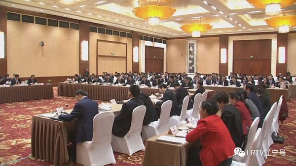 辽宁团审议国务院机构改革方案:结合实际谋划