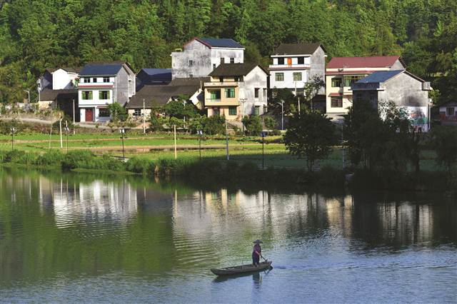 从脱贫攻坚到乡村振兴 秀美农村更有奔头