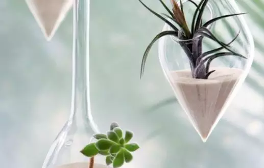 有88%的脱发者头发上都有它,杀死头螨脱发好