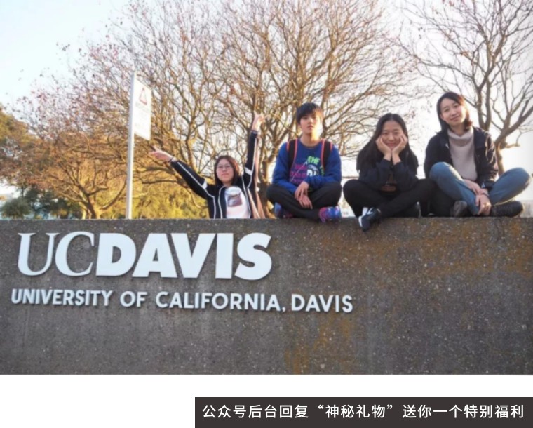 这个夏天,你最不该错过的就是美国排名前十公立大学uc davis官方夏校