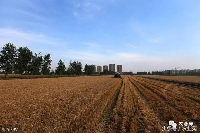 农村土地确权面积究竟怎么算?以及土地纠错程