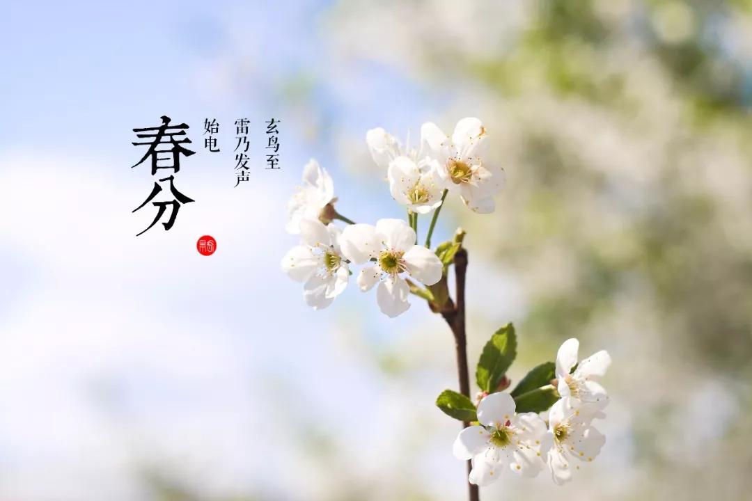 49D50CC1464D46B760606FD65C1E47F7A7DFC478_size46_w1080_h720.jpeg