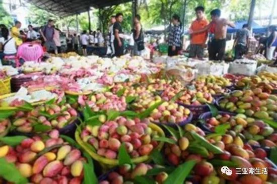 2018三亚国际芒果产业大会暨热带水果产业博