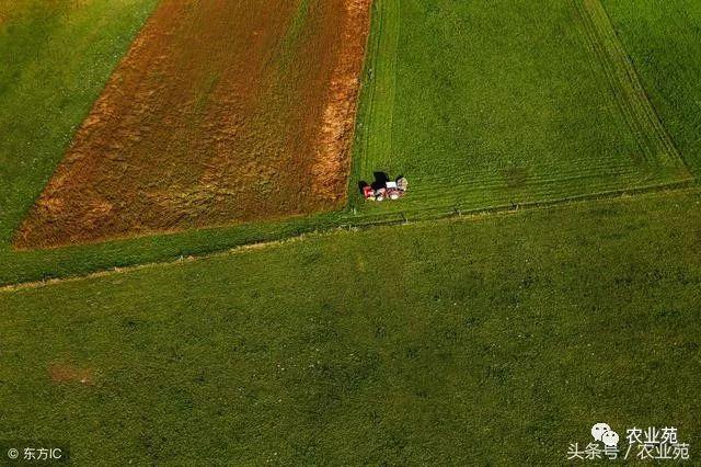 农村土地确权面积究竟怎么算?以及土地纠错程
