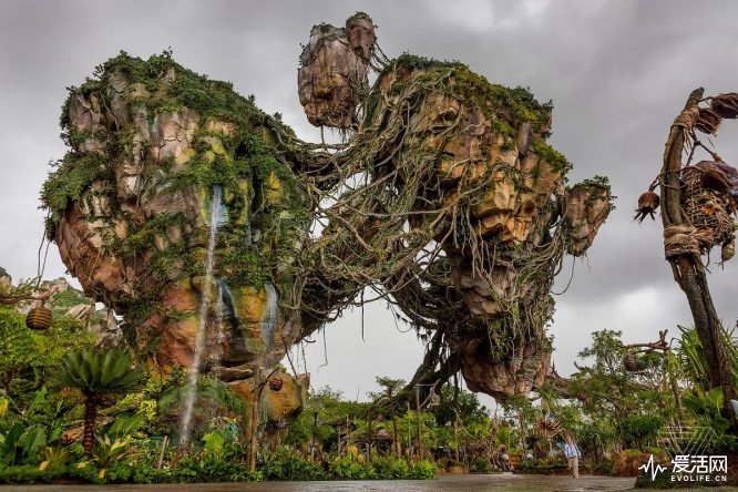 jbareham_170524_1720_A_0440