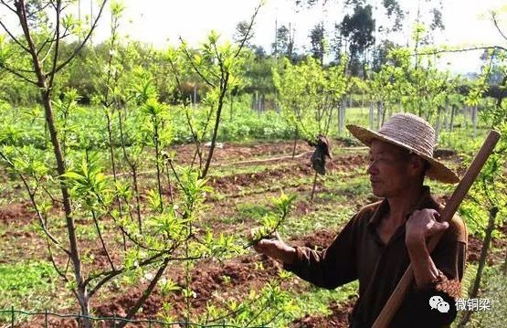 虎峰镇回龙村:乡村振兴美了村庄乐了村民