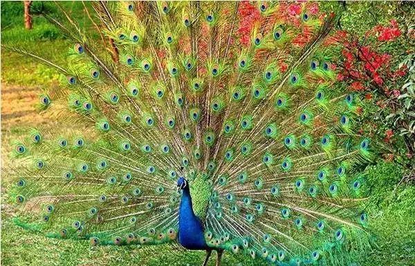 昭通直飞西双版纳、西安航班即将开通~这份游