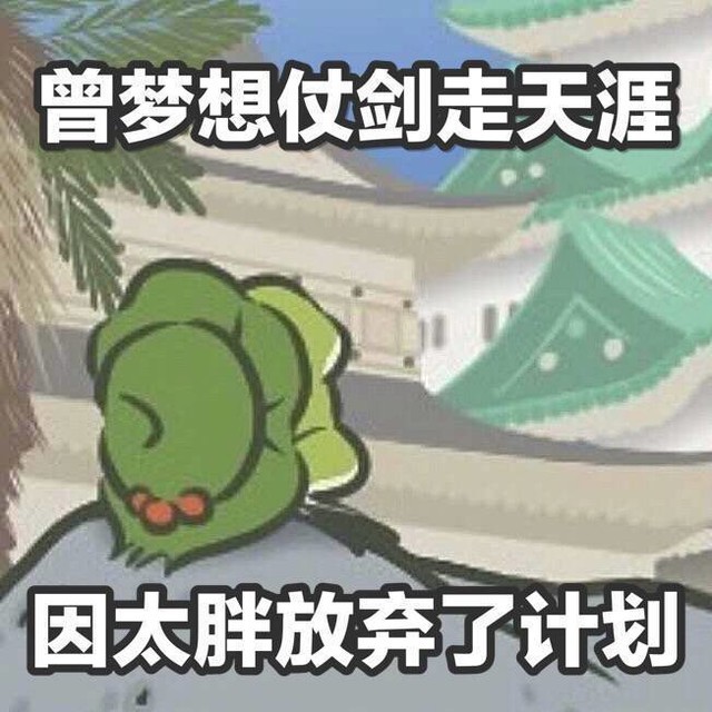 《玩家说》:你们的蛙儿子还在养吗?