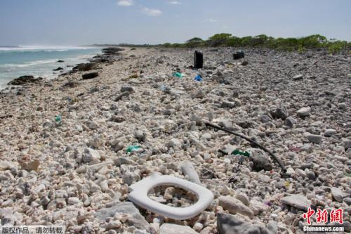 外媒：太平洋“垃圾带”面积大于法德西总和