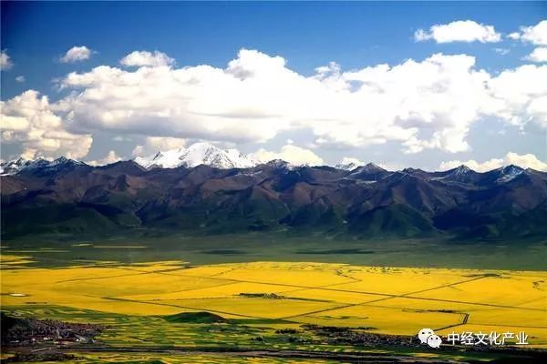 文化如何助推乡村振兴战略?这几个省市出方案