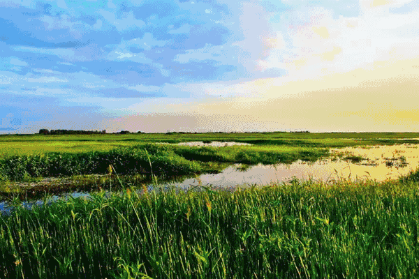 遇见春光,遇见最美的玛纳斯