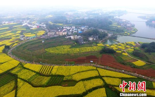 瑞昌乡村游玩攻略,瑞昌乡村游玩攻略大全