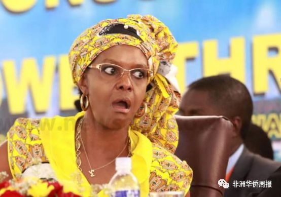 津巴布韦前总统夫人涉嫌向中、美等国走私象牙