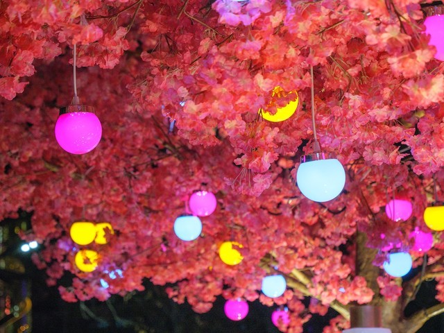 8000万像素下的北京城 松下G9相机评测