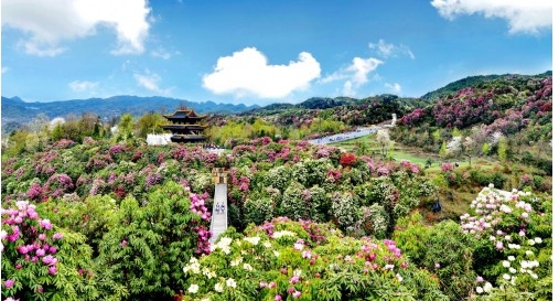 百里征程:奋进全域发展新时代迈步全面活动新攻略旅游杜鹃泳装图片