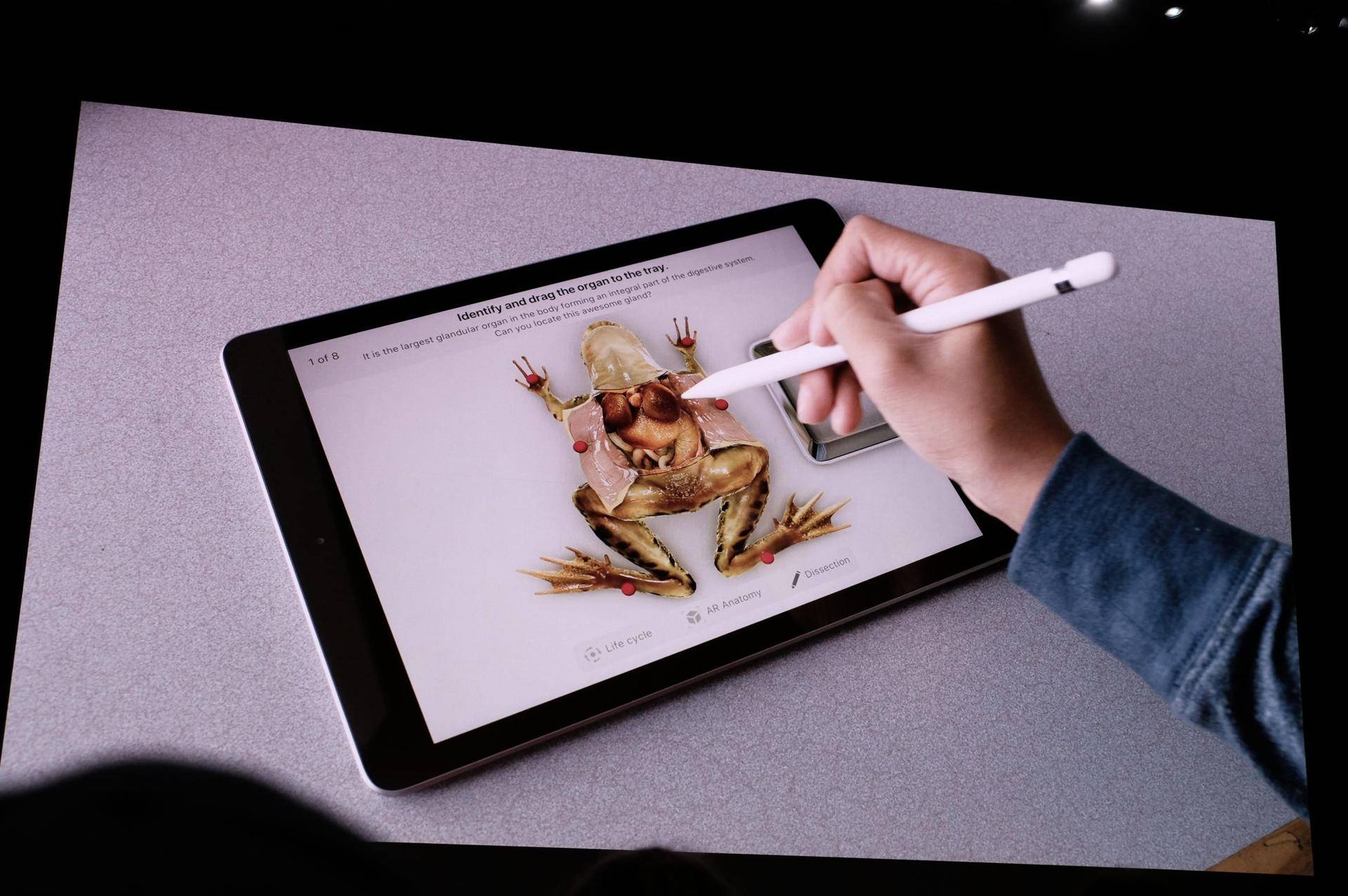 史上性价比最高的 iPad 发布,支持触控笔,最低