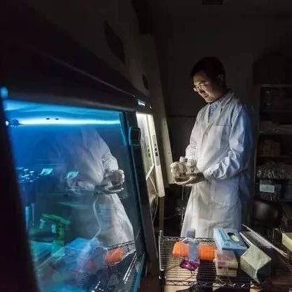 中国科学家与假冒试剂的秘密战争