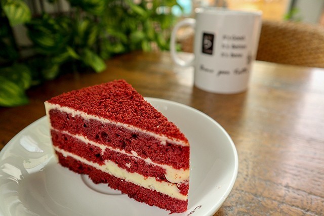 好看好用还不贵 女生买微单选它准没错 