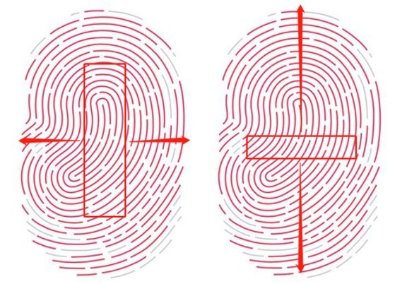 vivo屏下指纹新姿势 论指纹位置的改变 