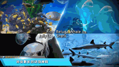 壁纸 海底 海底世界 海洋馆 水族馆 400_224 gif 动态图 动图