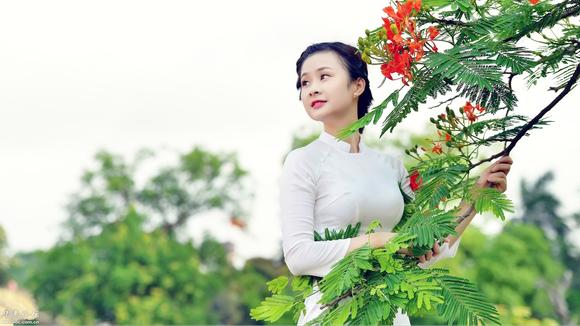 视频:越南的婚嫁习俗很特别,看完又长见识了不少