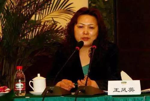 王传福兜售电池、新能源车整体方案,魏建军抢