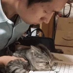 猫咪抠坏键盘被主人抓来质问，委屈巴巴的都快哭了