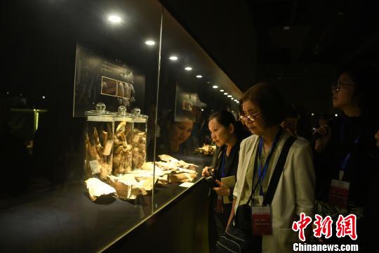 图为海外华文媒体参观沉香博物馆。　陈超 摄