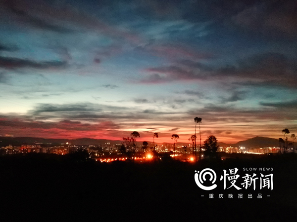 汶川地震功勋搜救犬的黄昏,它们随时可能会离