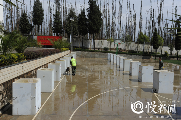 汶川地震功勋搜救犬的黄昏,它们随时可能会离
