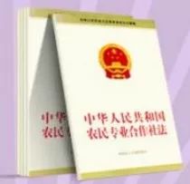 理论前沿|张红宇谈乡村振兴战略的时代意义