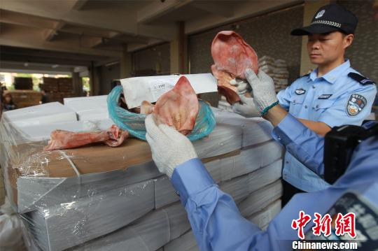 2018年3月26日，广州海关查获千吨走私冻品案，图为涉案走私冻猪耳朵。　刘�D�� 摄