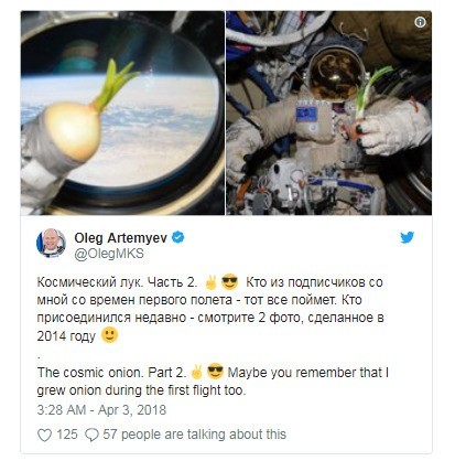 一颗美味的洋葱在国际空间站上发芽 