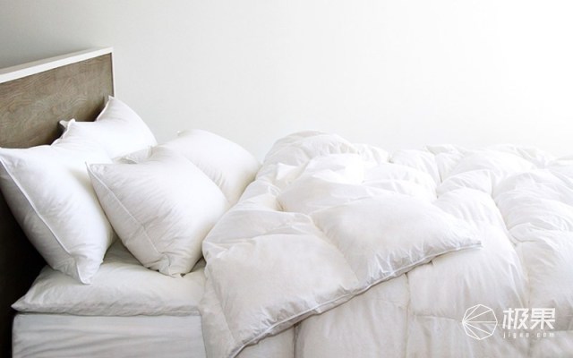 大神之选，教你买到最放心的枕头
