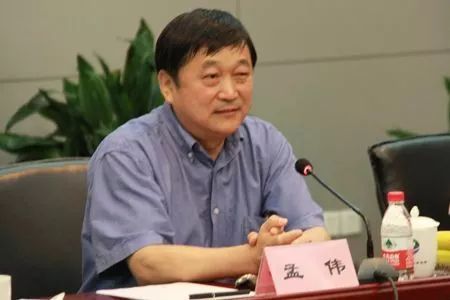 中国环境科学研究院原院长孟伟被双开，并被撤销院士称号