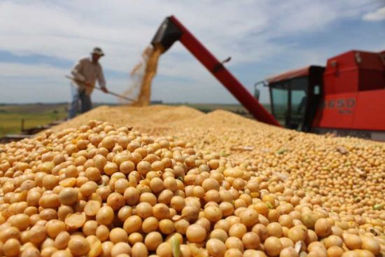 美国公布拟加税清单，中国何时使出杀手锏大豆？