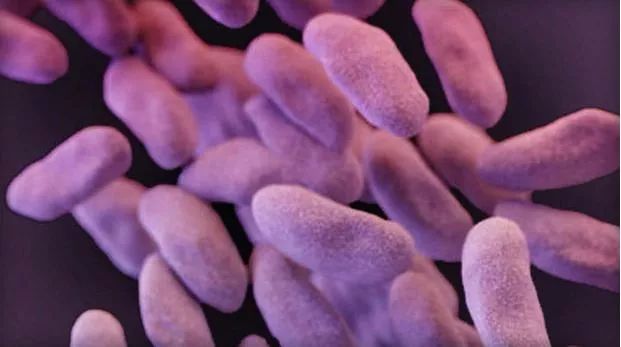 全美27州发现超级细菌 传播后果不堪设想