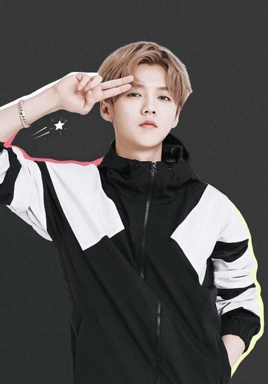 为什么每次鹿晗演唱会都一票难求?不是因为人气，真相很暖!