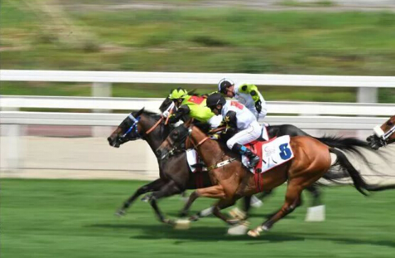 2018成都·迪拜国际杯赛五年之约圆满举办