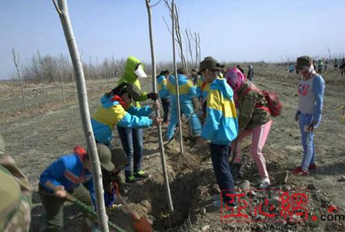 乌鲁木齐市七十七小:让孩子们像小树一样茁壮