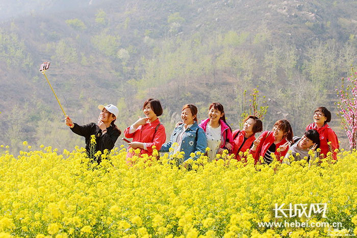 常馨谷里花飘香 长城拍客畅漾花海间
