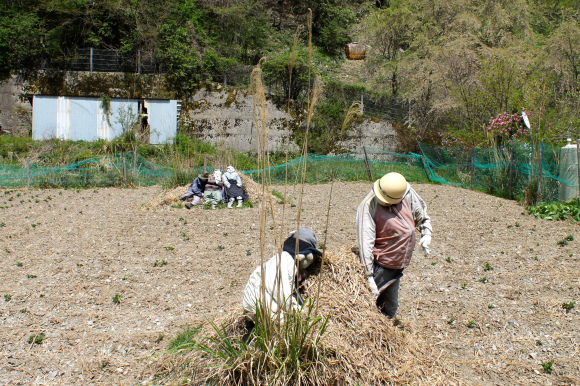 日本农村人口_日本人眼里的中国农村 惨得不能再惨(3)