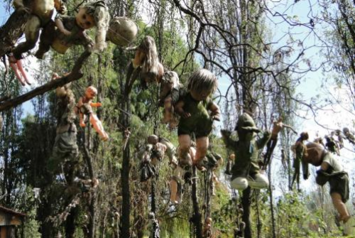 恐怖的墨西哥娃娃岛背后的故事!